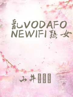 乱VODAFONEWIFI熟女