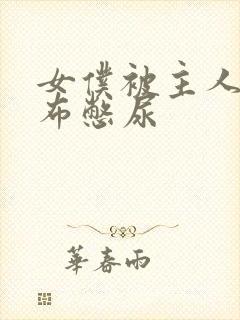 女仆被主人用胶布憋尿