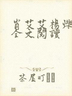 肖艾艾杨烁小说全文阅读