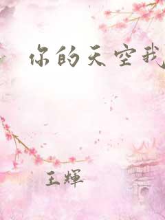 你的天空我的城