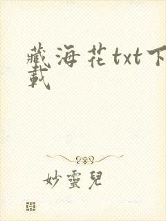 藏海花txt下载