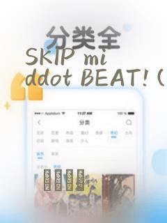 SKIP middot BEAT! (华丽的挑战)
