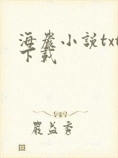 海岩小说txt下载