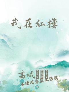 我在红楼