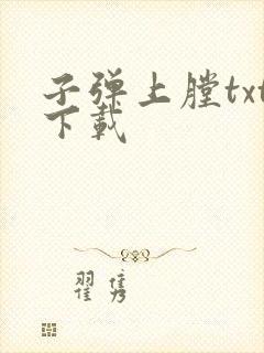 子弹上膛txt下载