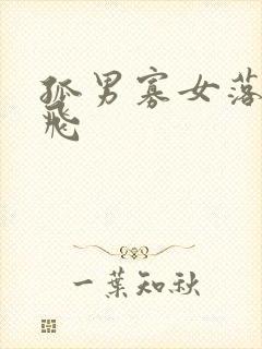 孤男寡女落瑛纷飞