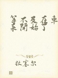 等不及在车里就来开始了