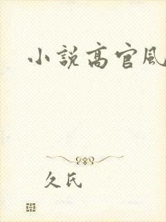 小说高官风流
