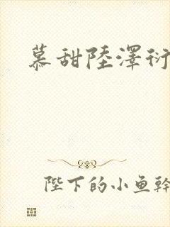 慕甜陆泽衍小说