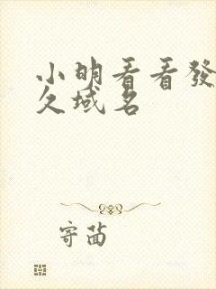 小明看看发布永久域名