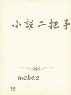 小说二把手