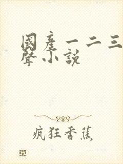 国产一二三区有声小说