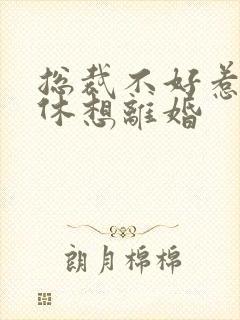 总裁不好惹女人休想离婚