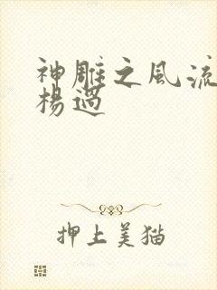 神雕之风流浪子杨过