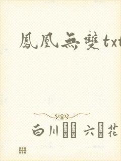 凤凰无双txt