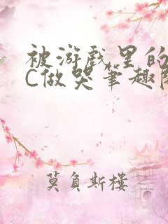 被游戏里的NPC做哭笔趣阁