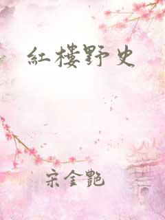 红楼野史
