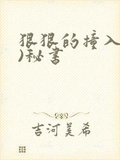 狠狠的撞入(h)秘书