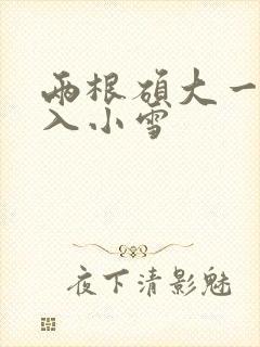 两根硕大一起挤入小雪