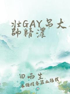 壮GAY吊大人帅精浓