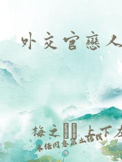 外交官恋人小说