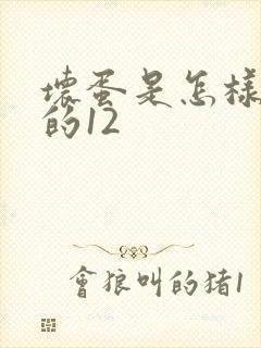 坏蛋是怎样炼成的12