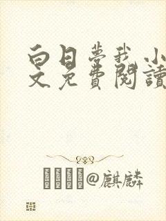 白日梦我小说全文免费阅读