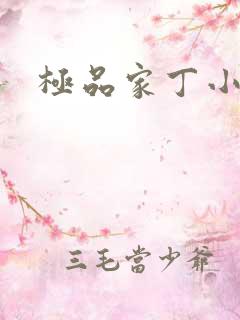 极品家丁小说