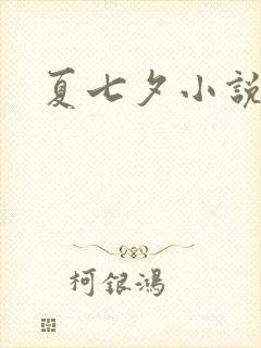 夏七夕小说