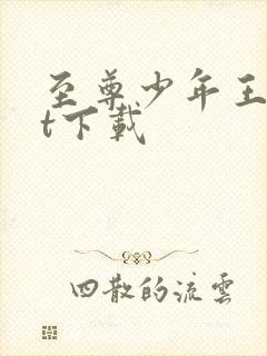 至尊少年王txt下载