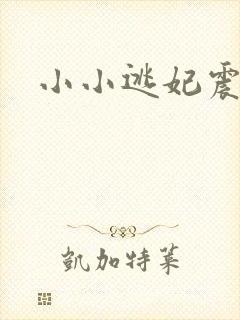 小小逃妃震江山