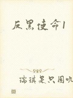 反黑使命1
