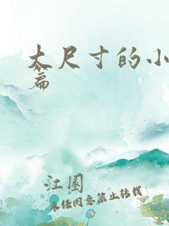 大尺寸的小说短篇