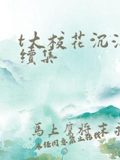 t大校花沉浮录续集