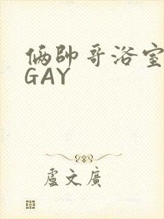 俩帅哥浴室互攻GAY