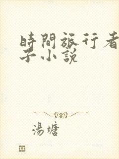 时间旅行者的妻子小说