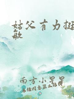 姑父有力挺送赵敏