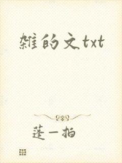 杂的文txt