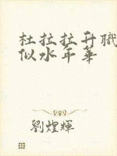 杜拉拉升职记之似水年华