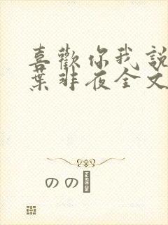 喜欢你我说了算叶非夜全文免费阅读