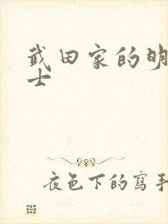 武田家的明国武士