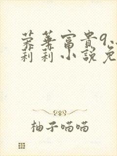 荣华富贵9小王莉莉小说免费阅读