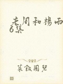 老周和杨雨欣26集