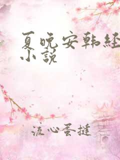 夏晚安韩经年的小说