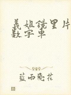 义姐镜里片微博数字车