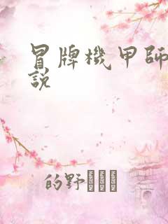 冒牌机甲师 小说