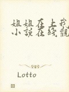 姐姐在上我在下小说在线观看