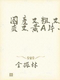 国产又粗又猛又爽又黄A片小说