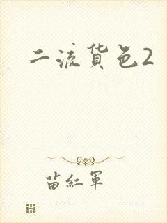 二流货色2