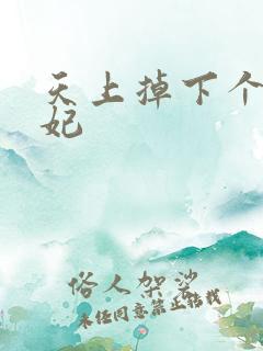 天上掉下个奇王妃